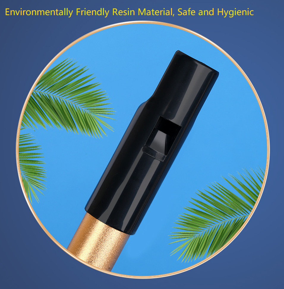 Authentic Irish Whistle Flute  - Musical Instrument Irish のレビューと価格