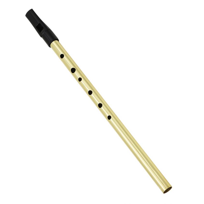 Irish Whistle Soprano Flute D  - Musical Instrument Irish のレビューと価格
