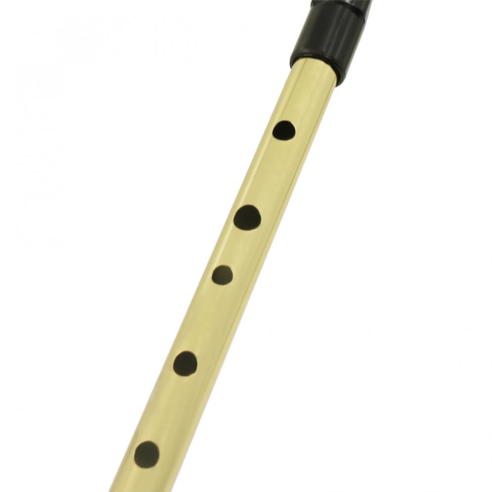 Irish Whistle Soprano Flute D  - Musical Instrument Irish のレビューと価格