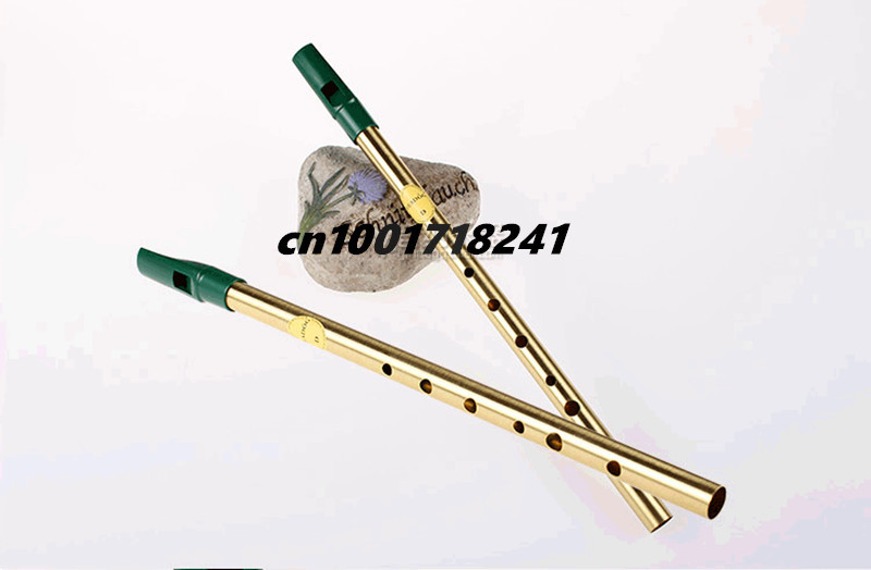 Brass Irish Whistle Flute Fead - Musical Instrument Irish のレビューと価格
