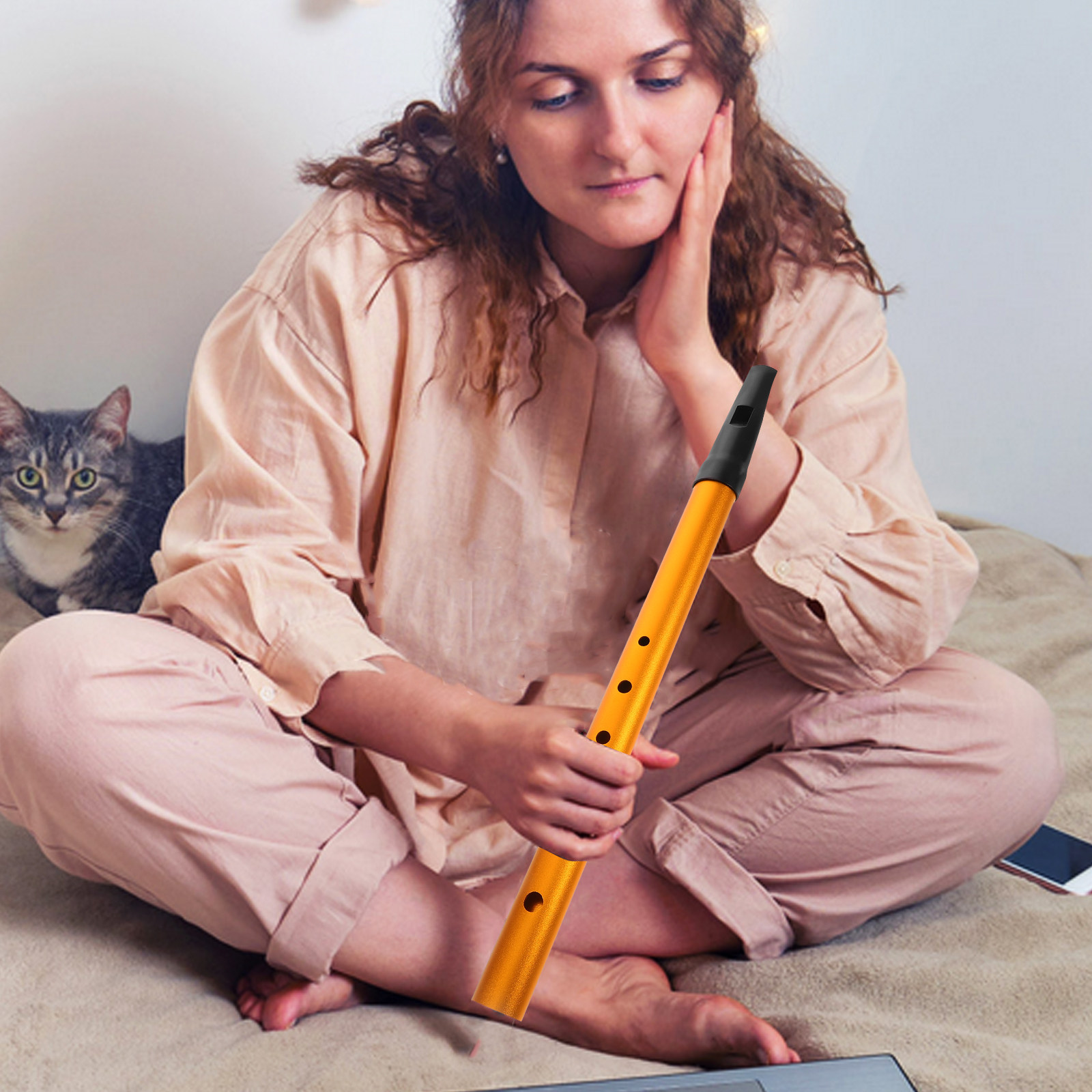 Irish Tin Whistle 6-Hole Key W - Musical Instrument Irish のレビューと価格