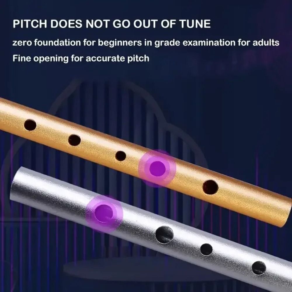 C/D Key Irish Whistle Flute 6  - Musical Instrument Irish のレビューと価格