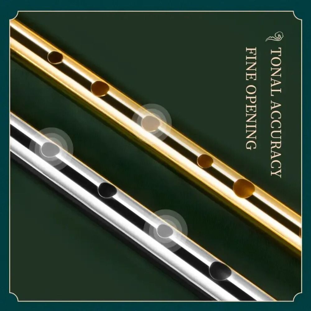 6 Holes C/D Key Irish Whistle  - Musical Instrument Irish のレビューと価格