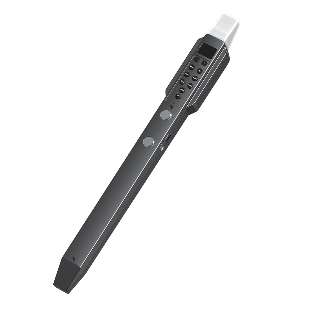 Small Transverse Flute Electro - Musical Instrument Irish のレビューと価格