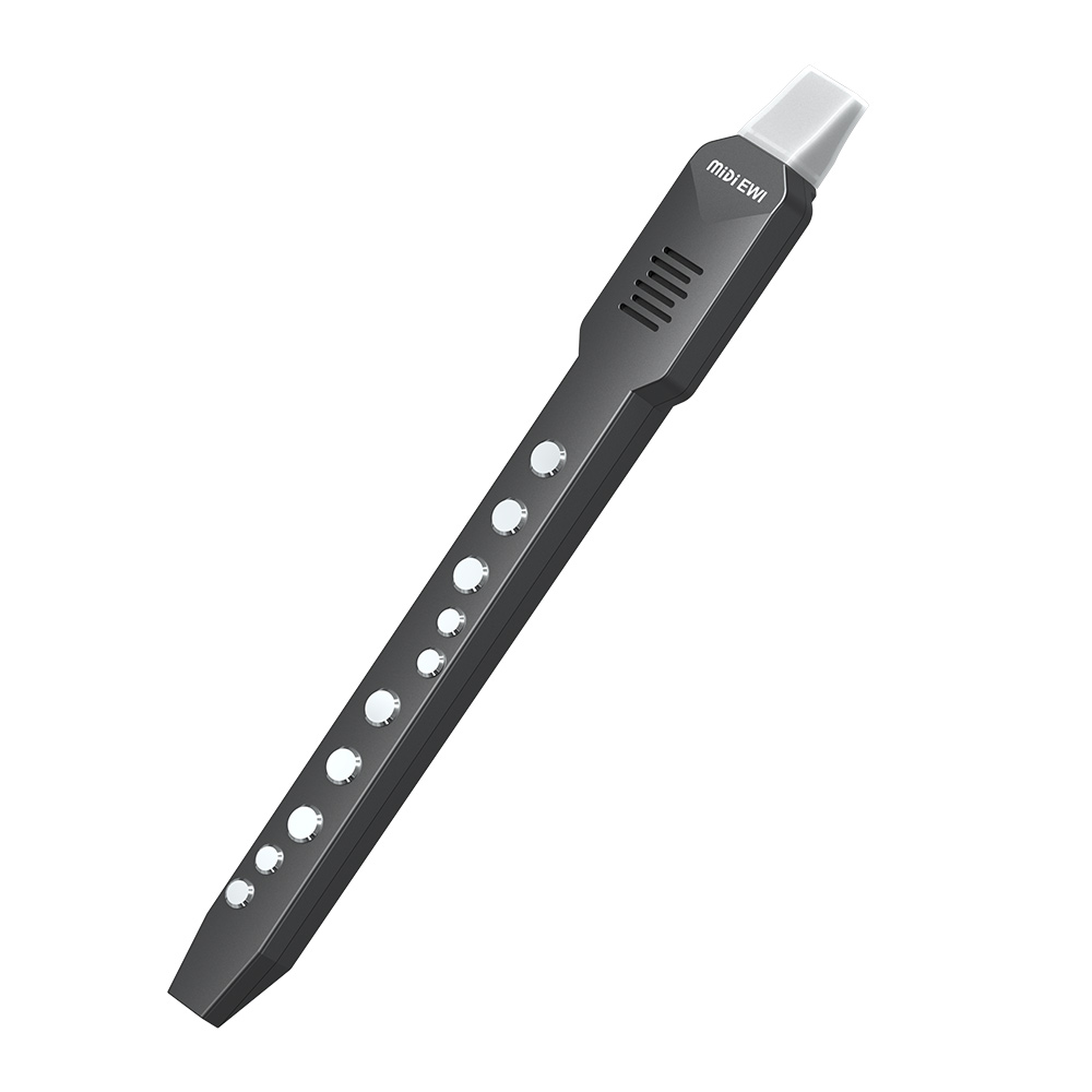 Small Transverse Flute Electro - Musical Instrument Irish のレビューと価格