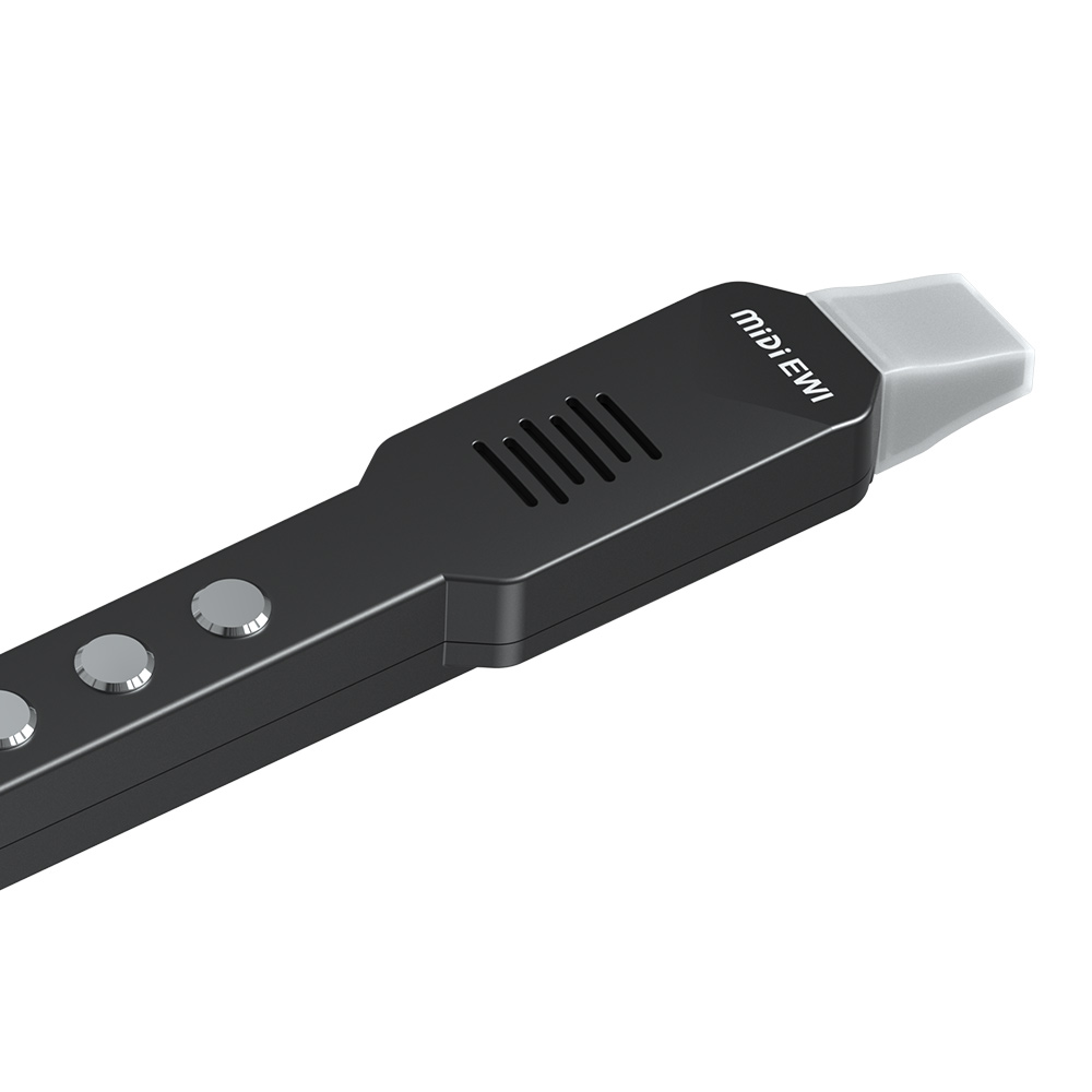 Small Transverse Flute Electro - Musical Instrument Irish のレビューと価格