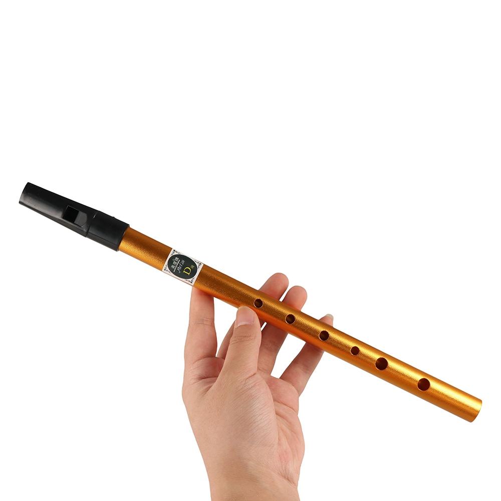 Musical Accessories 6 Hole Iri - Musical Instrument Irish のレビューと価格