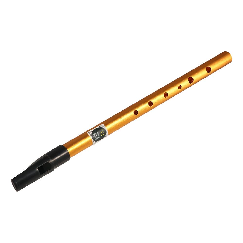 Musical Accessories 6 Hole Iri - Musical Instrument Irish のレビューと価格