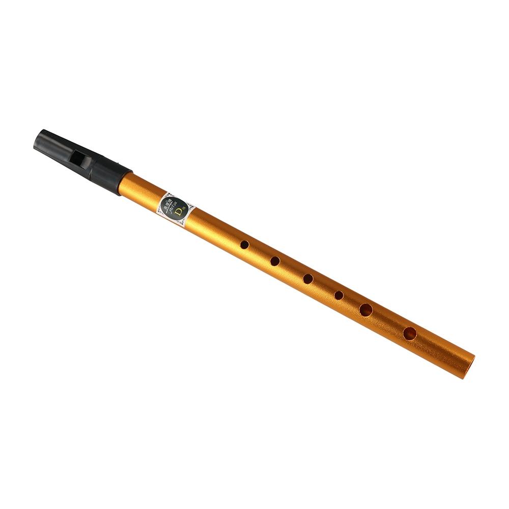 Musical Accessories 6 Hole Iri - Musical Instrument Irish のレビューと価格
